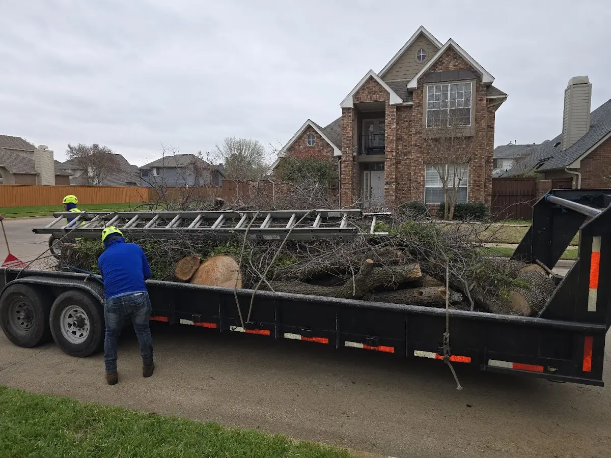 Expert Tree Fertilization with proper safety equipment in Dolph